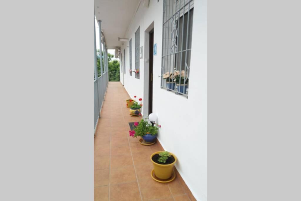 Ferienwohnung Apartamento Al-Zhara, Junto Puente Romano Córdoba Exterior foto